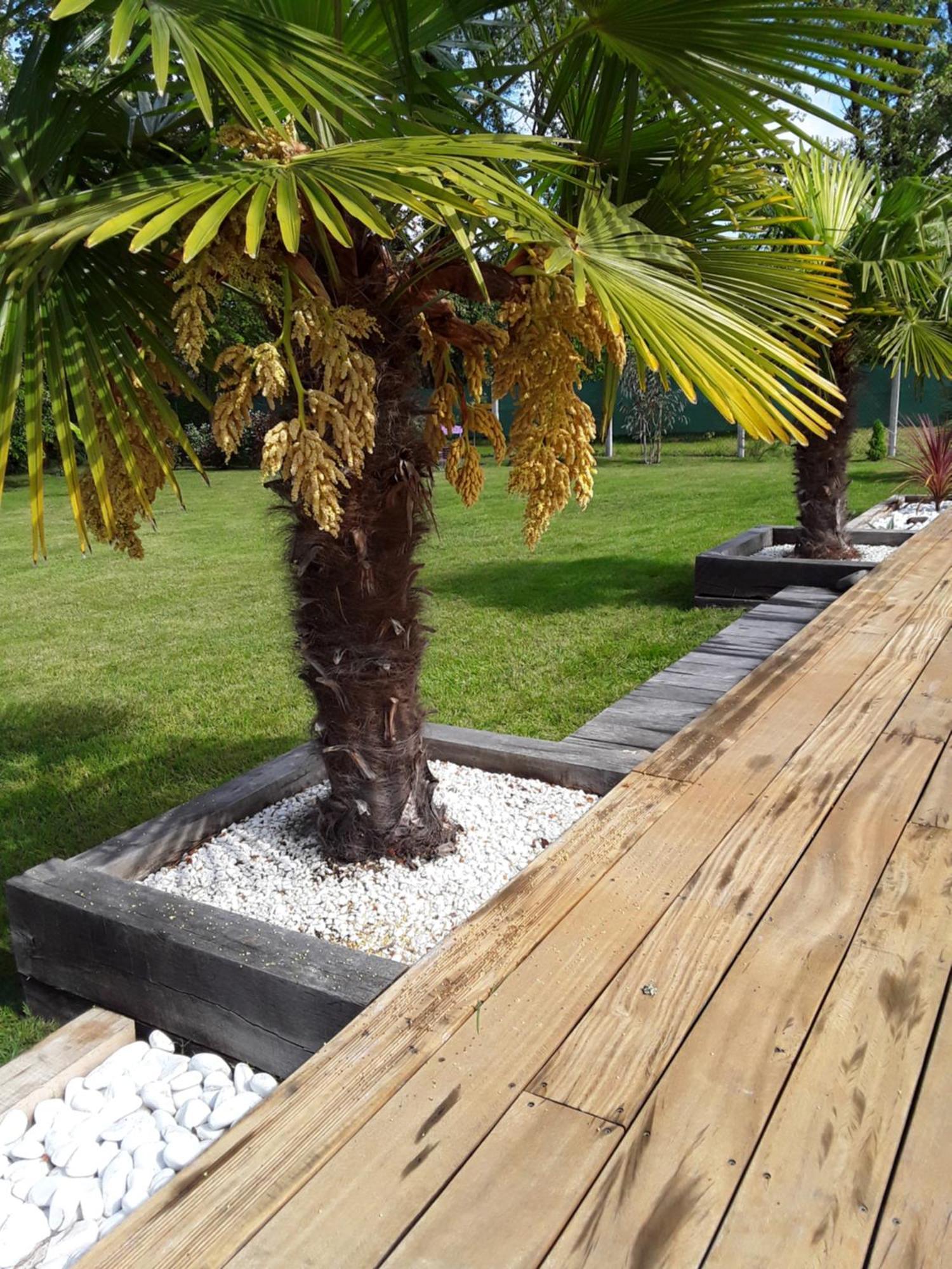 Chambre D'Hotes Les Iris A Mios Sur Le Bassin D'Arcachon Exterior foto